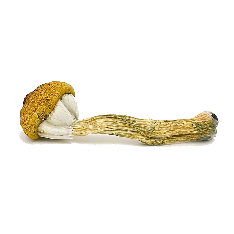 dnk yellow shoes