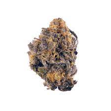 purple kush